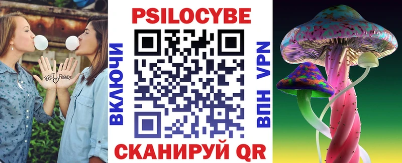 Псилоцибиновые грибы Psilocybe  Сенгилей 